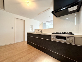 �����v������i���ώʐ^�j�@�`���d�l�ł��`