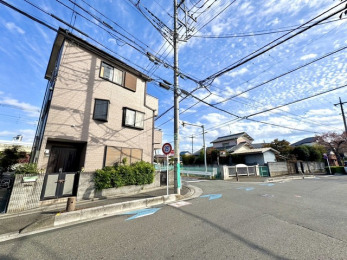 ���n�y�n�ʐ^�@-