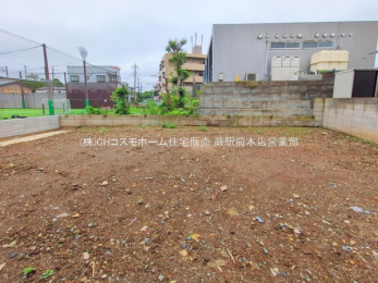 ���n�y�n�ʐ^�@-