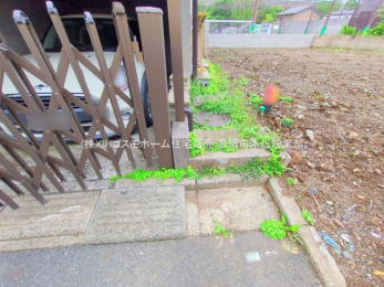 ���n�y�n�ʐ^�@-