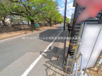 ���n�O�ώʐ^�@-