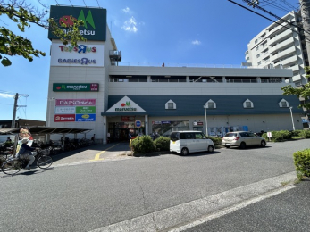 ���ӊ��@�}���G�c�n�k���X�i650m�j
