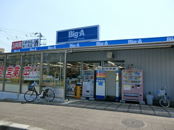 ���ӊ��@�r�b�O�E�G�[ �Y�a�{���X�@�i610m�j